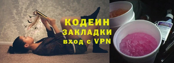 индика Балабаново