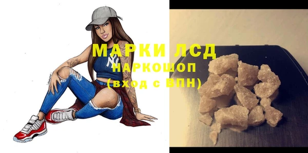 индика Балабаново
