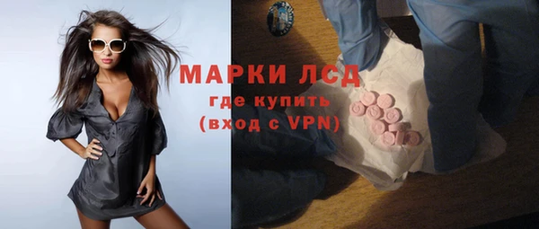 индика Балабаново