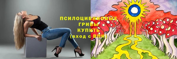 индика Балабаново